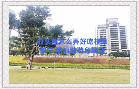 汕头鱼怎么弄好吃视频教学 潮汕葫芦鱼玩法